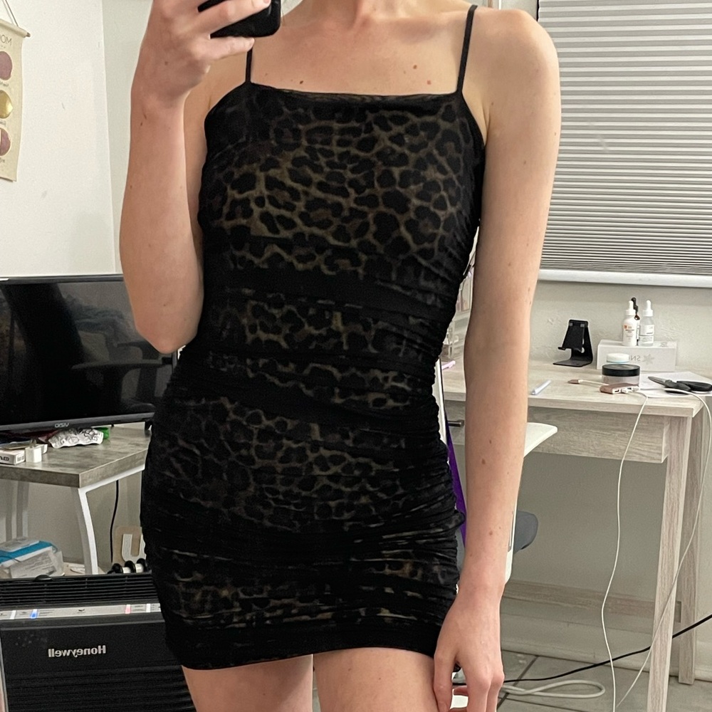 Windsor love for leopard mesh dress